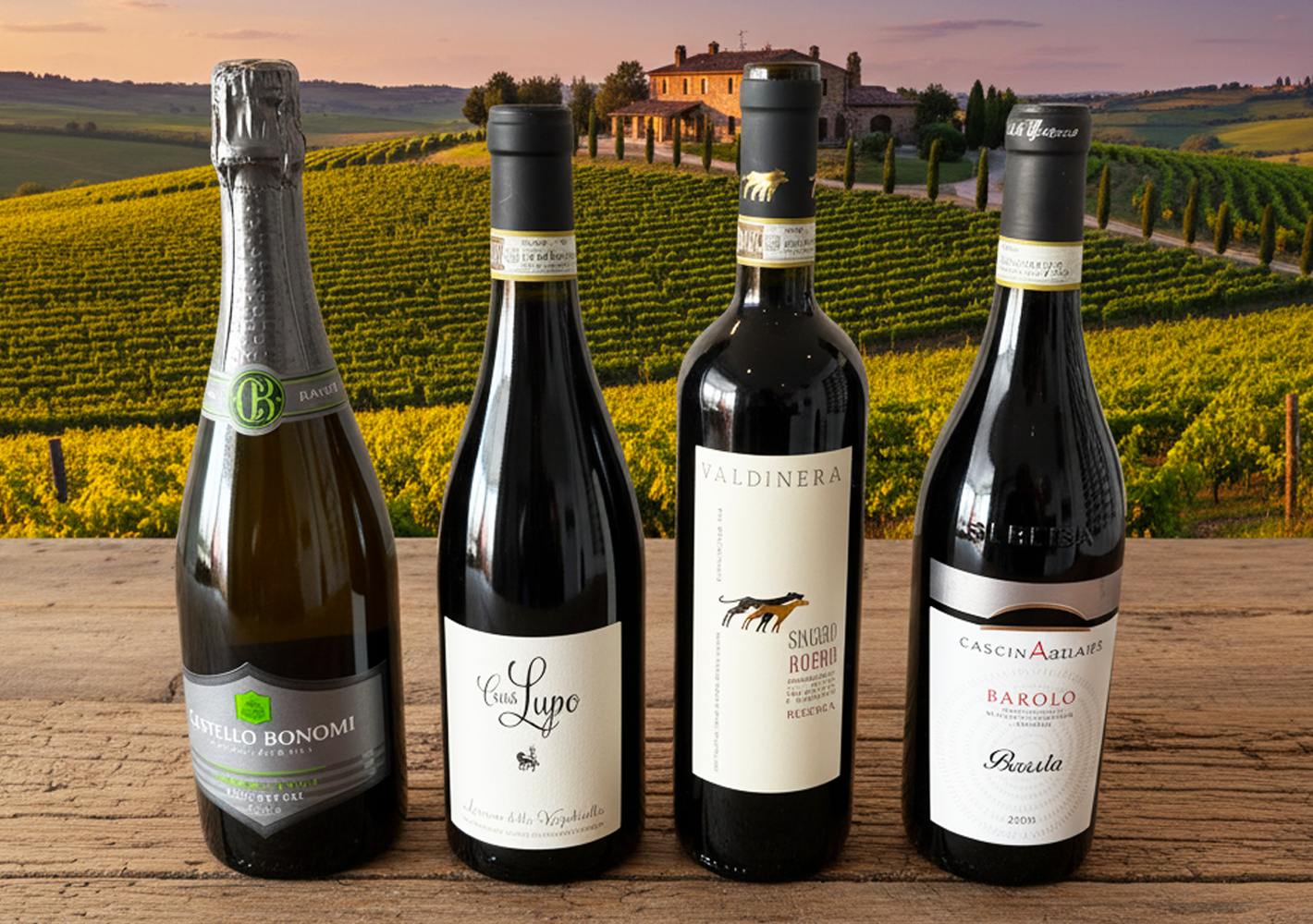 Selezione Harald box